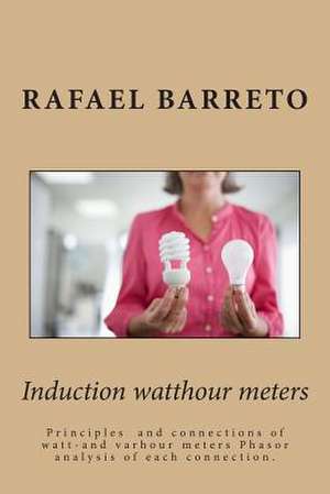 Induction Watthour Meters de Rafael Barreto