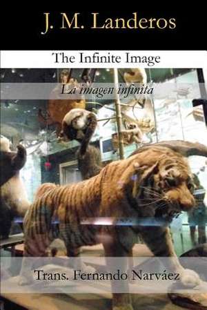 The Infinite Image de J. M. Landeros