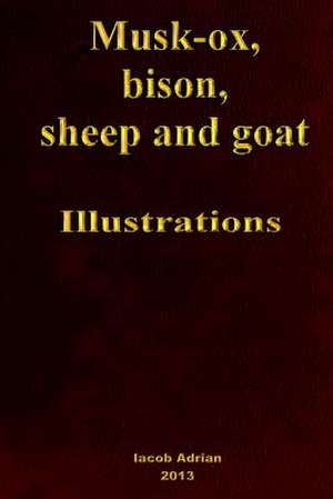 Musk-Ox, Bison, Sheep and Goat Illustrations de Iacob Adrian