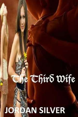 The Third Wife de Mrs Jordan Silver