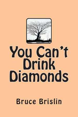 You Can't Drink Diamonds de MR Bruce V. Brislin