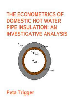 The Econometrics of Domestic Hot Water Pipe Insulation de Peta Trigger