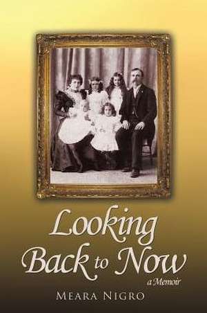 Looking Back to Now de Meara Nigro