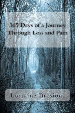 365 Days of a Journey Through Loss and Pain de Lorraine Brosious