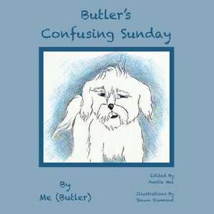 Butler's Confusing Sunday de Butler Siorek