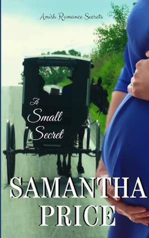 A Small Secret de Samantha Price