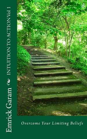 Intuition to Action Vol 1 de MR Emrick Garam