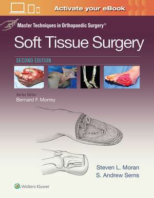 Master Techniques in Orthopaedic Surgery: Soft Tissue Surgery de Steven Moran MD