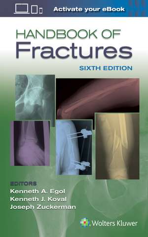 Handbook of Fractures books-express.ro