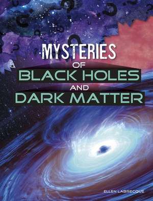 Mysteries of Black Holes and Dark Matter de Ellen Labrecque