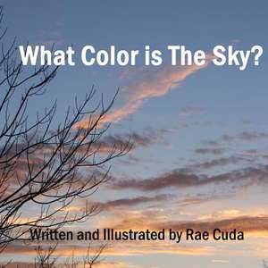 What Color Is the Sky? de Rae Cuda