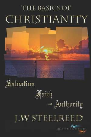 The Basics of Christianity Salvation, Faith and Authority de J. W. Steelreed