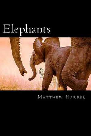 Elephants de Matthew Harper