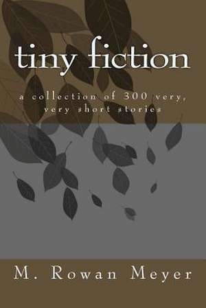 Tiny Fiction de M. Rowan Meyer
