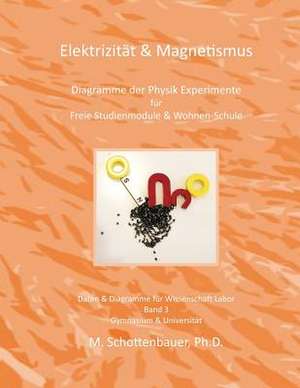 Elektrizitat & Magnetismus de M. Schottenbauer