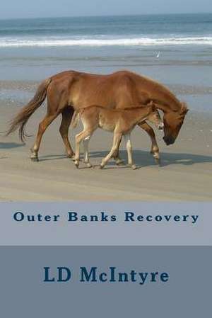 Outer Banks Recovery de LD McIntyre