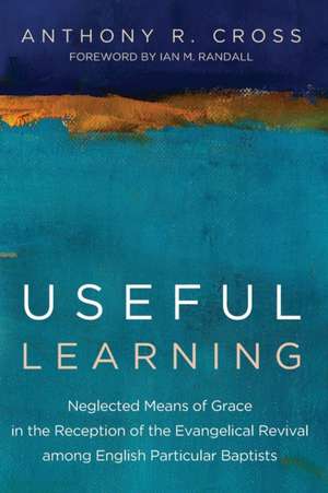 Useful Learning de Anthony R. Cross