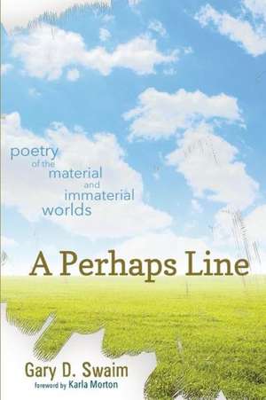 A Perhaps Line de Gary D. Swaim