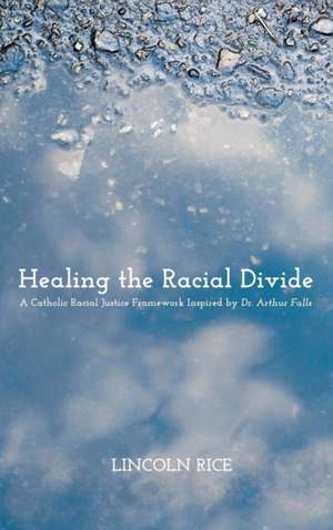 Healing the Racial Divide de Lincoln Rice