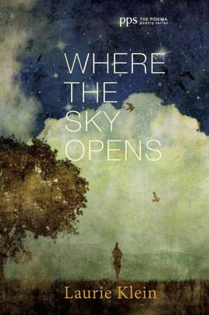 Where the Sky Opens de Laurie Klein