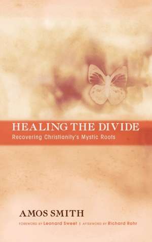 Healing the Divide de Amos Smith