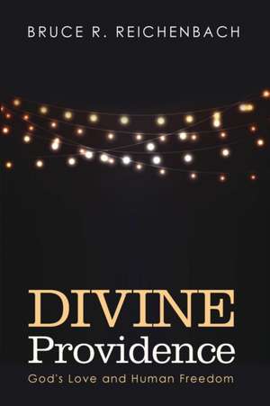 Divine Providence de Bruce R. Reichenbach