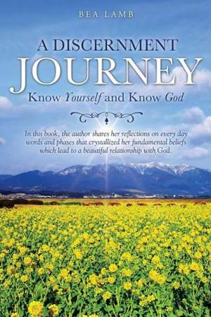 A Discernment Journey de Bea Lamb