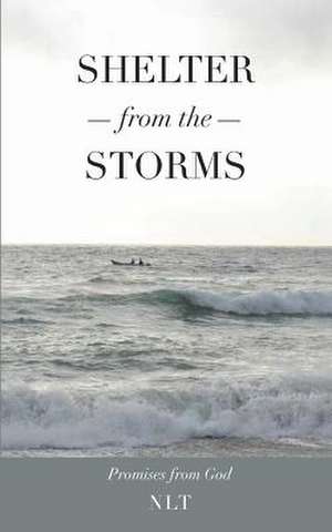 Shelter from the Storms; Promises from God de Linda Jones