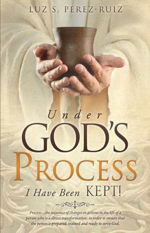 Under God's Process de Luz S Perez-Ruiz