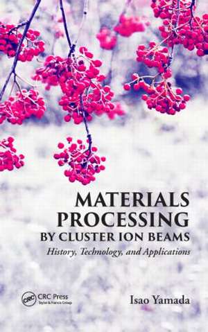 Materials Processing by Cluster Ion Beams: History, Technology, and Applications de Isao Yamada