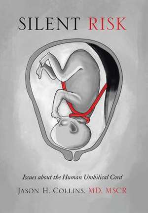 Silent Risk de Jason H. Collins MD Mscr