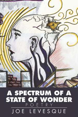 A Spectrum of a State of Wonder de Joe Levesque