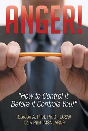 Anger! de Gordon a. Pilet