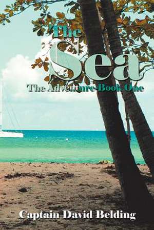 The Sea de David Belding