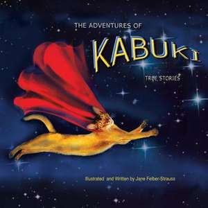 The Adventures of Kabuki de Jane Felber- Strauss