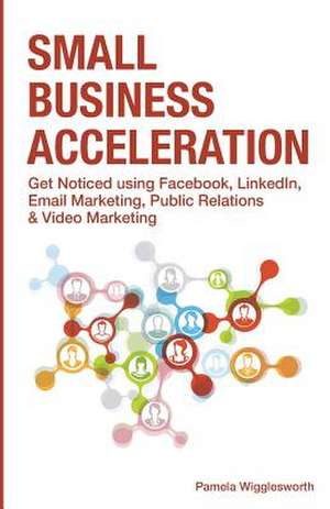 Small Business Acceleration de Pamela Wigglesworth