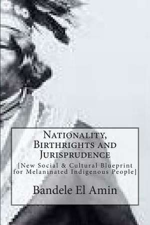 Nationality, Birthrights and Jurisprudence de Bandele El Amin