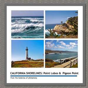 California Shorelines de Joseph L. Gill