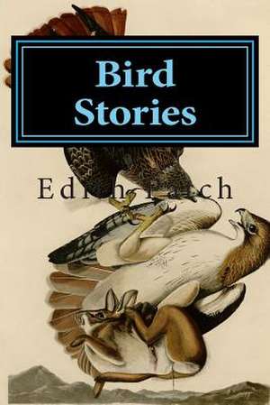 Bird Stories de Patch, Edith M.