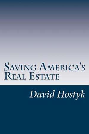 Saving America's Real Estate de David Hostyk