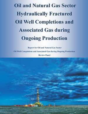 Oil and Natural Gas Sector Hydraulically Fractured Oil Well Completions and Associated Gas During Ongoing Production de U. S. Environmental Protection Agency