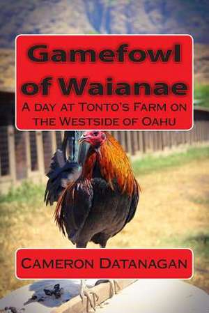 Gamefowl of Waianae de MR Cameron Datanagan