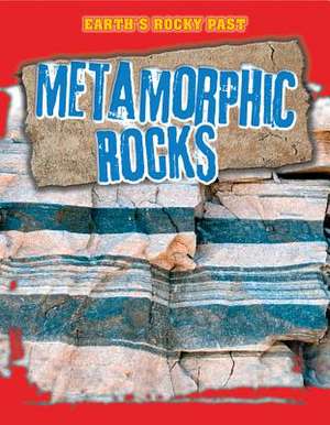 Metamorphic Rocks de Richard Spilsbury