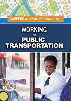 Working in Public Transportation de Mary-Lane Kamberg