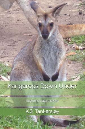 Kangaroos Down Under de K. S. Tankersley