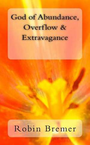 God of Abundance, Overflow & Extravagance de Robin Bremer