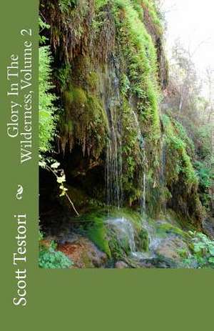 Glory in the Wilderness, Volume 2 de Scott Testori