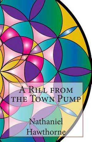 A Rill from the Town Pump de Nathaniel Hawthorne