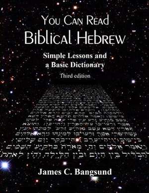 You Can Read Biblical Hebrew de James C. Bangsund