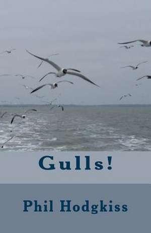 Gulls! de Phil Hodgkiss